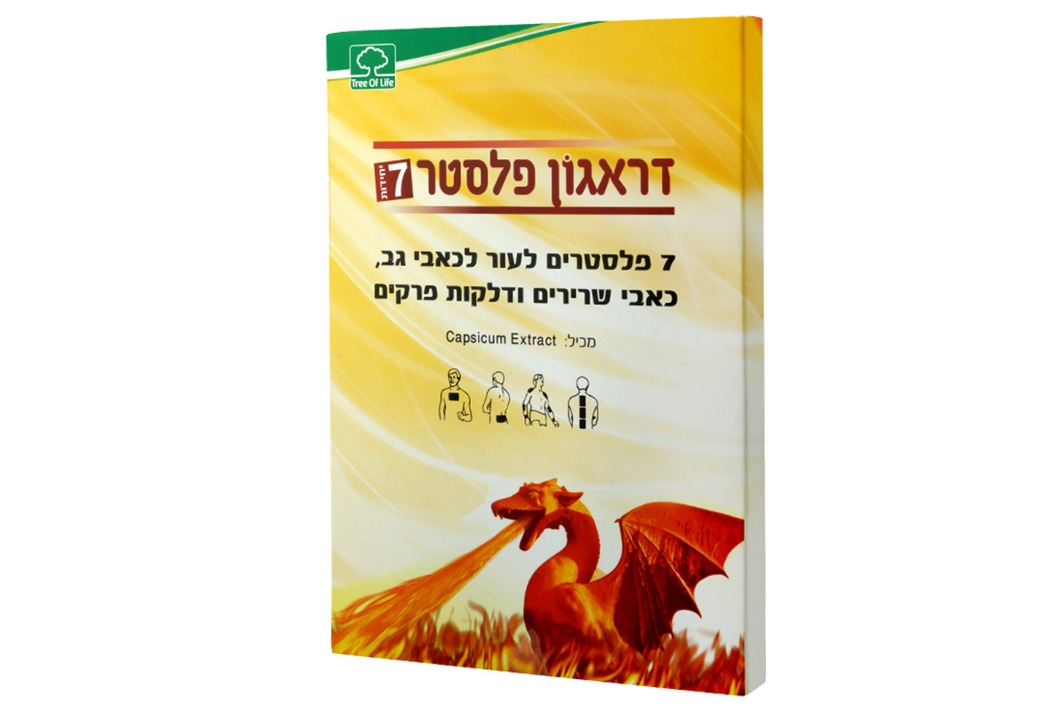 דראגון פלסטר שביעיה